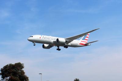 Photo of aircraft N818AL operated by American Airlines