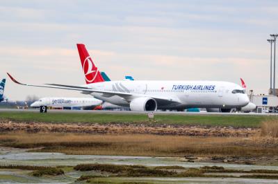 Photo of aircraft TC-LGG operated by Turkish Airlines