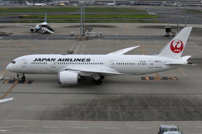 Photo of aircraft JA821J operated by Japan Airlines