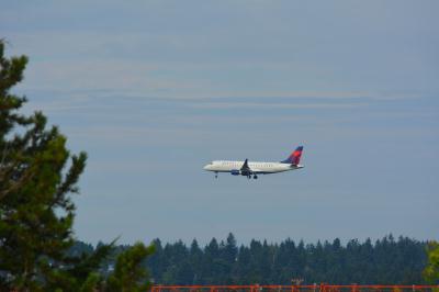 Image of aircraft registration N251SY - A ERJ-175LR (ERJ-170-200 LR) operated by Delta Connection