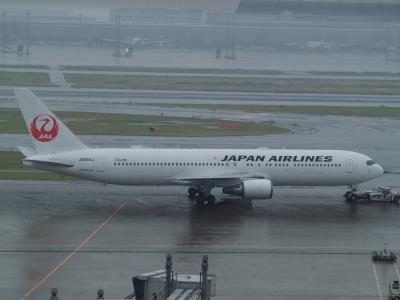 Photo of aircraft JA655J operated by Japan Airlines