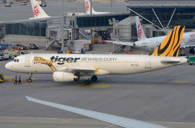 Photo of aircraft 9V-TAZ operated by Tigerair