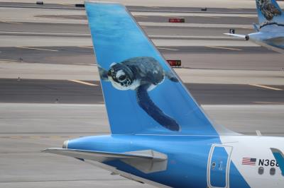 Photo of aircraft N368FR operated by Frontier Airlines