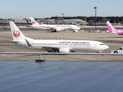 Photo of aircraft JA317J operated by Japan Airlines