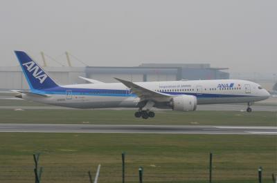 Photo of aircraft JA892A operated by All Nippon Airways