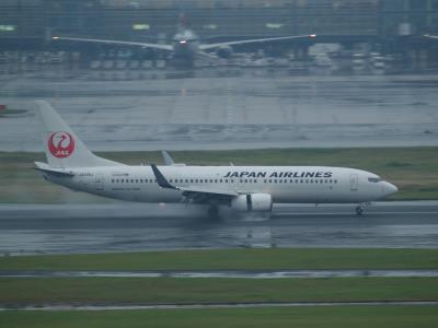 Photo of aircraft JA338J operated by Japan Airlines