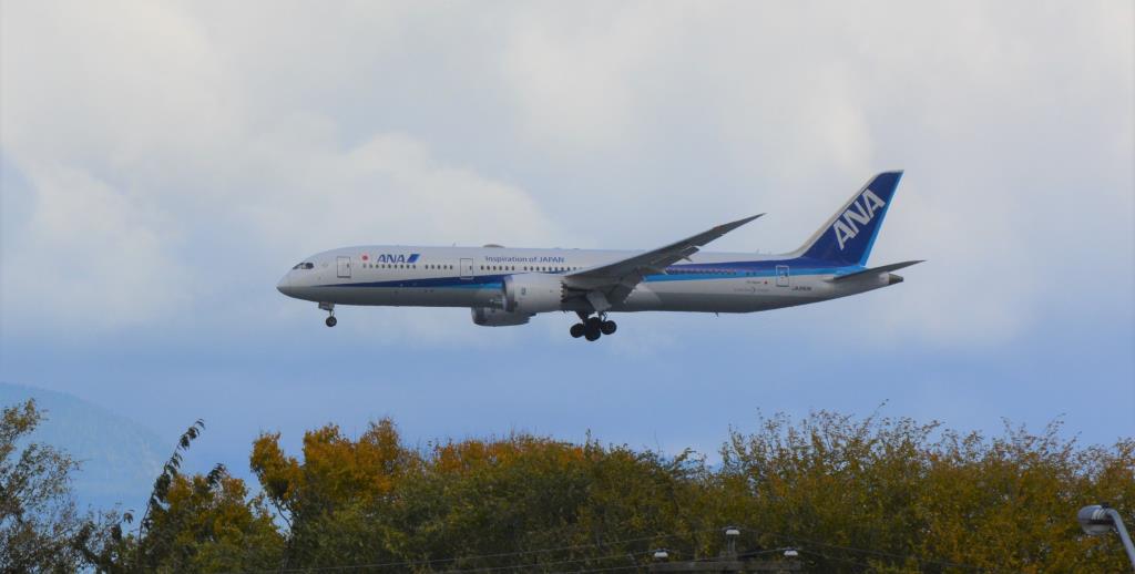 Photo of aircraft JA893A operated by ANA All Nippon Airways