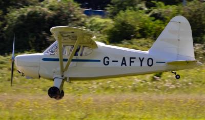 Photo of aircraft G-AFYO operated by Michael Lodge