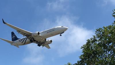 Image of aircraft registration N381DN - A 737-832(WL) operated by Delta Air Lines