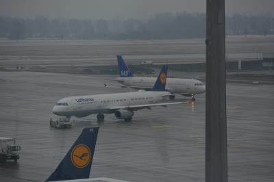 Image of aircraft registration D-AIRM - A A321-131 operated by Lufthansa