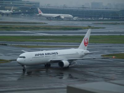 Photo of aircraft JA8976 operated by Japan Airlines