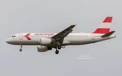 Image of aircraft registration OE-LBO - A A320-214 operated by Austrian Airlines