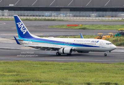 Photo of aircraft JA52AN operated by All Nippon Airways