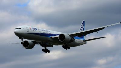 Photo of aircraft JA795A operated by All Nippon Airways