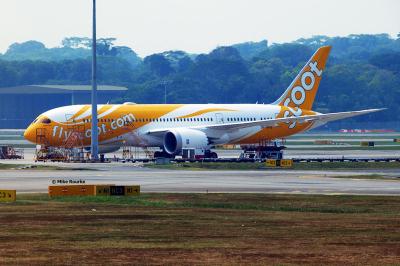 Photo of aircraft 9V-OFB operated by Scoot