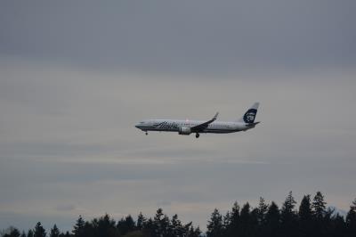 Photo of aircraft N462AS operated by Alaska Airlines