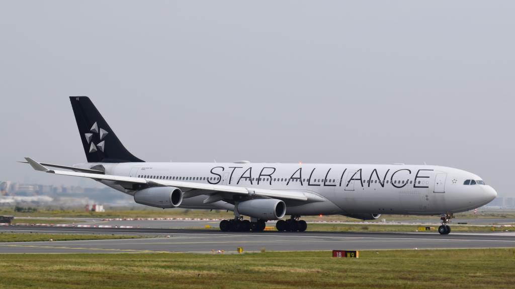 Photo of aircraft D-AIFE operated by Lufthansa