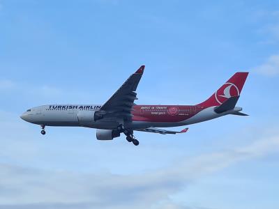 Photo of aircraft TC-JIZ operated by Turkish Airlines