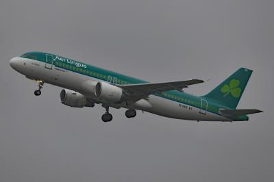 Image of aircraft registration EI-DVG - A A320-214 operated by Aer Lingus