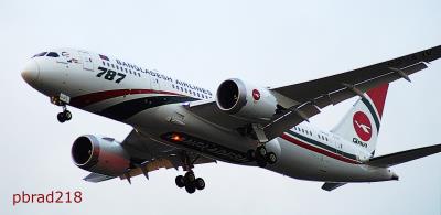 Image of aircraft registration S2-AJV - A 787-8 Dreamliner operated by Biman Bangladesh Airlines