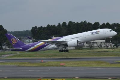 Photo of aircraft HS-THS operated by Thai Airways International