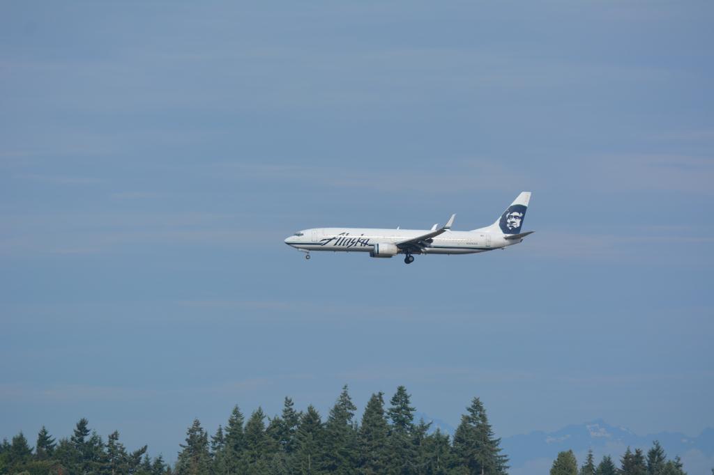 Photo of aircraft N309AS operated by Alaska Airlines