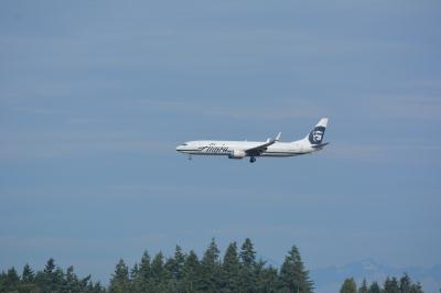 Photo of aircraft N309AS operated by Alaska Airlines
