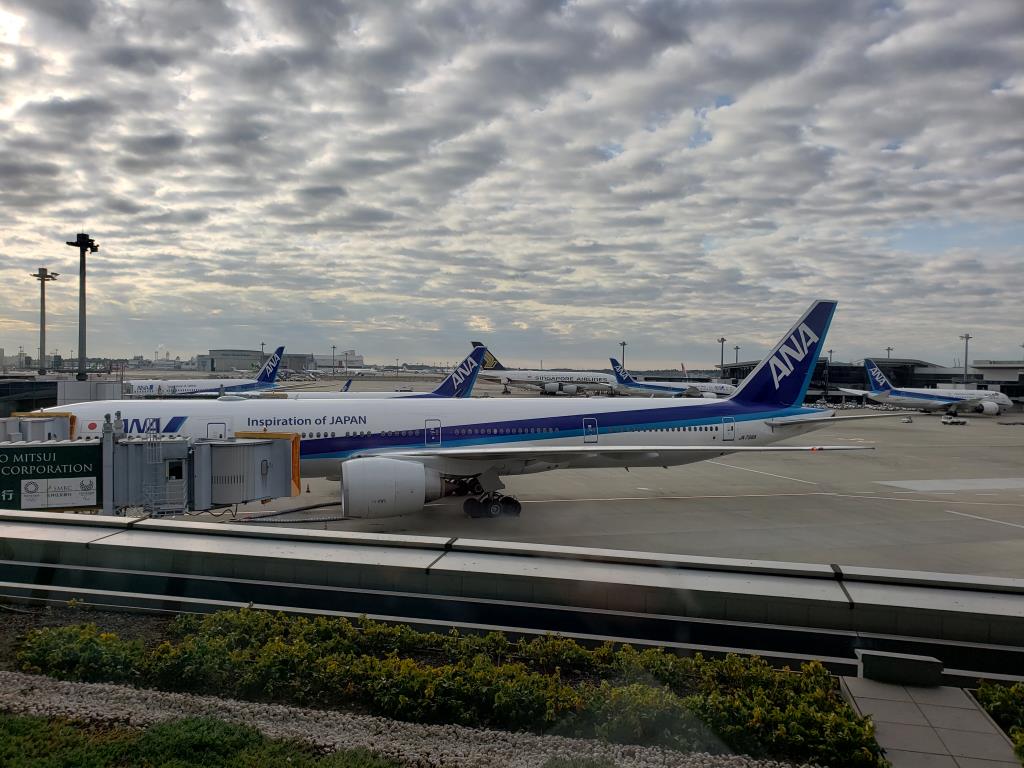 Photo of aircraft JA736A operated by ANA All Nippon Airways