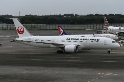 Photo of aircraft JA830J operated by Japan Airlines