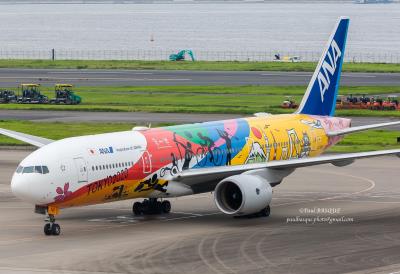 Photo of aircraft JA741A operated by All Nippon Airways