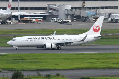 Photo of aircraft JA302J operated by Japan Airlines