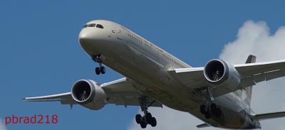 Photo of aircraft A6-BNA operated by Etihad Airways