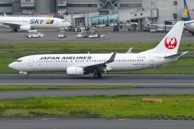 Photo of aircraft JA344J operated by Japan Airlines