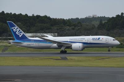 Photo of aircraft JA828A operated by ANA All Nippon Airways