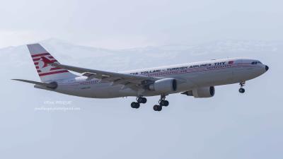 Image of aircraft registration TC-JNC - A A330-203 operated by Turkish Airlines