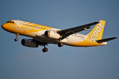 Photo of aircraft 9V-TAO operated by Scoot