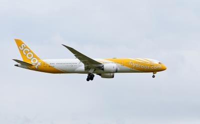 Photo of aircraft 9V-OJG operated by Scoot