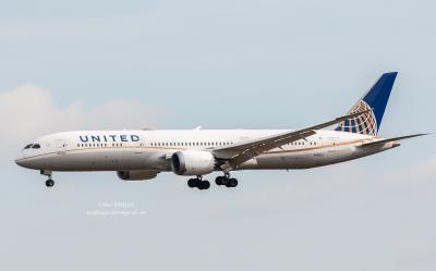 Image of aircraft registration N19951 - A 787-9 Dreamliner operated by United Airlines