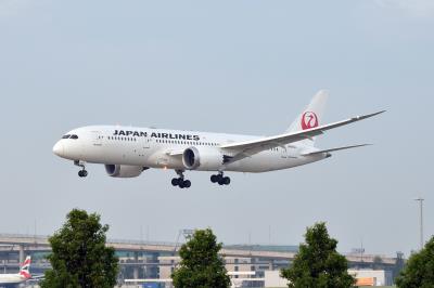 Photo of aircraft JA845J operated by Japan Airlines