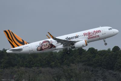 Photo of aircraft B-50018 operated by Tigerair Taiwan