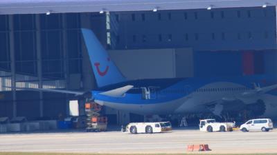 Image of aircraft registration OO-LOE - A 787-8 Dreamliner operated by TUI Airlines Belgium