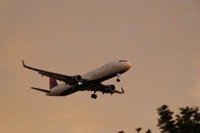 Photo of aircraft N313DN operated by Delta Air Lines