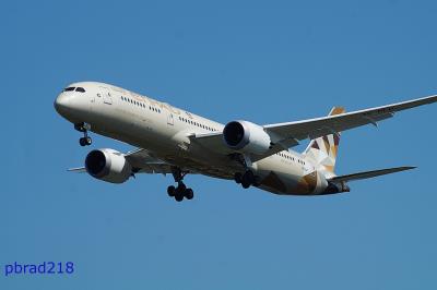 Photo of aircraft A6-BLP operated by Etihad Airways