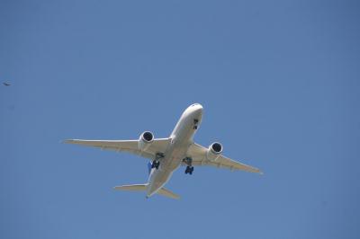 Image of aircraft registration N30913 - A 787-8 Dreamliner operated by United Airlines