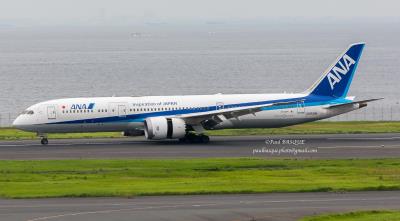 Image of aircraft registration JA839A - A 787-9 Dreamliner operated by All Nippon Airways
