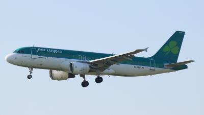 Image of aircraft registration EI-DEH - A A320-214 operated by Aer Lingus