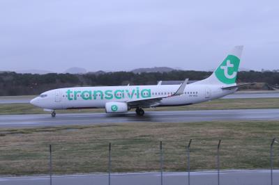 Image of aircraft registration PH-HSG - A 737-8K2(WL) operated by Transavia