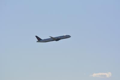 Image of aircraft registration C-FNOE - A 787-9 Dreamliner operated by Air Canada