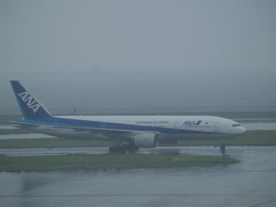 Photo of aircraft JA8967 operated by ANA All Nippon Airways