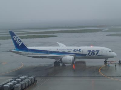 Photo of aircraft JA816A operated by All Nippon Airways